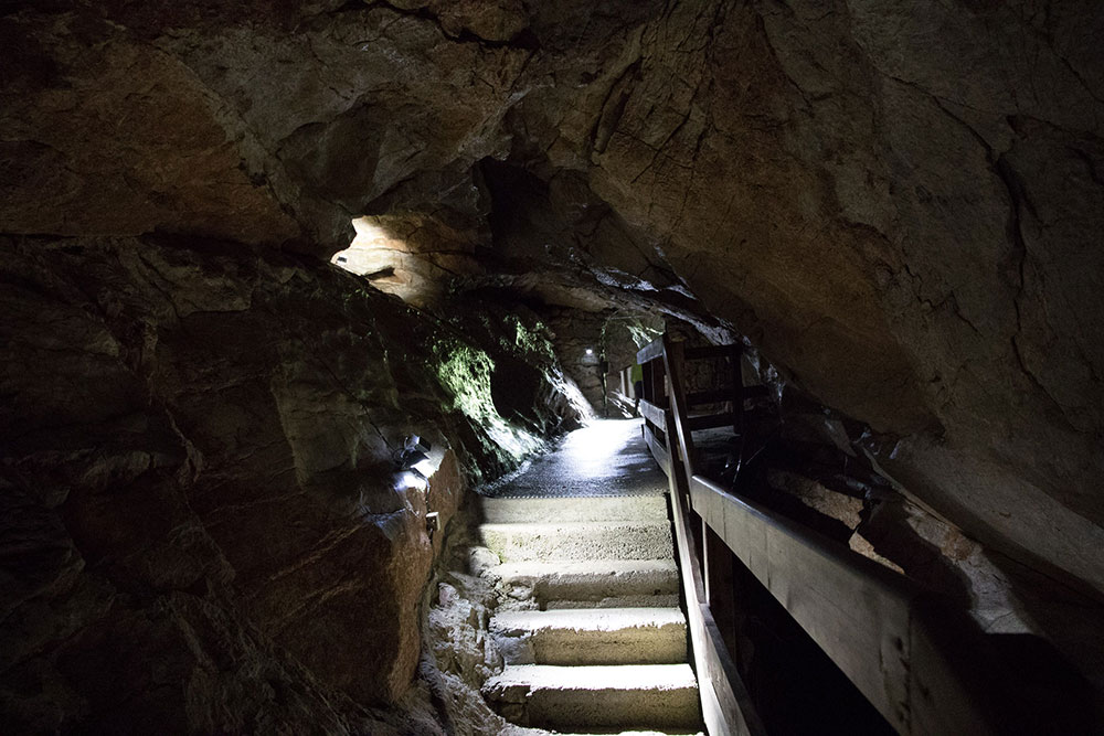 Lamprechtshöhle St. Martin bei Lofer - Ausgang