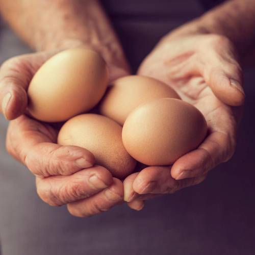 Henasteign - Bio-Eier im Hofladen