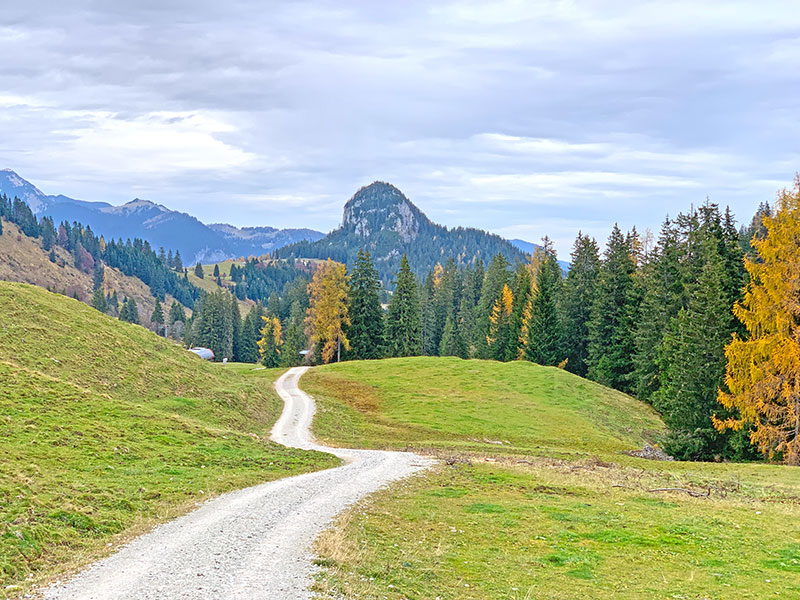 Forstweg - Loferer Alm