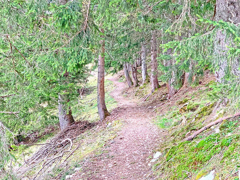 Wanderweg - Loferer Alm