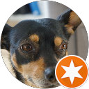 Die Bugyi's reisen profile picture