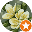 Profilbild von „Yumiko Rezensionen“